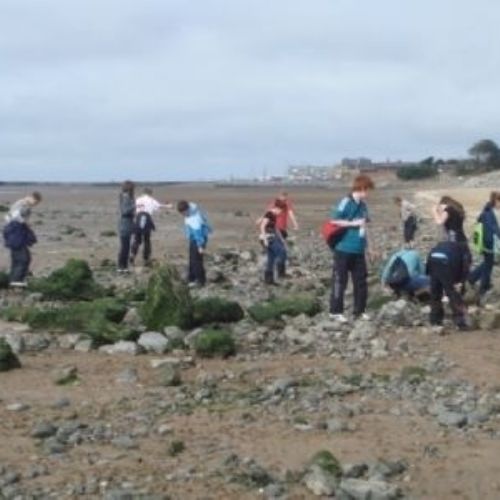 Year 8 Coastal Walk (30).jpg